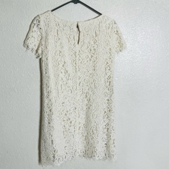 Zara lace fitted short sleeve wedding bridal bride mini dress S - Picture 8 of 8